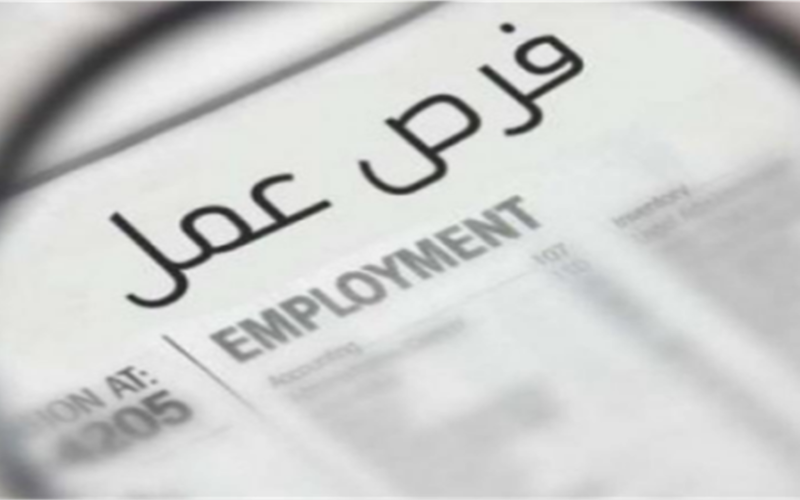 وظائف خالية براتب يصل إلى 15 ألف جنيه شهريا.. اعرف التخصصات والشروط